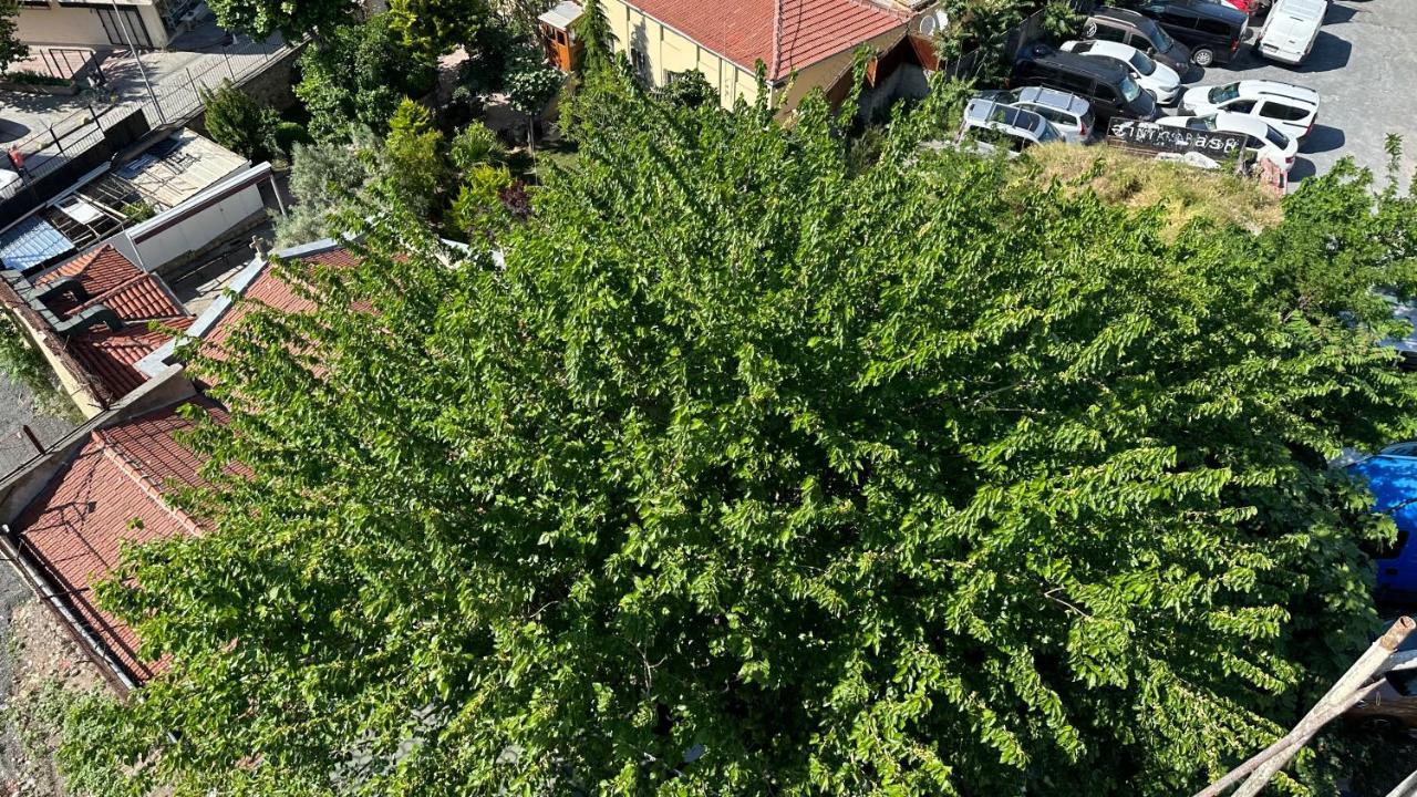 Mar Boutique Apartment Istanbul Bagian luar foto